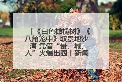 《白色橄榄树》《八角笼中》取景地沙湾 凭借“景、城、人”火爆出圈丨新闻发布最前线