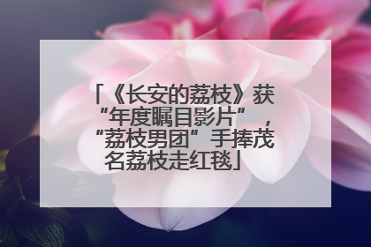《长安的荔枝》获“年度瞩目影片”，“荔枝男团”手捧茂名荔枝走红毯