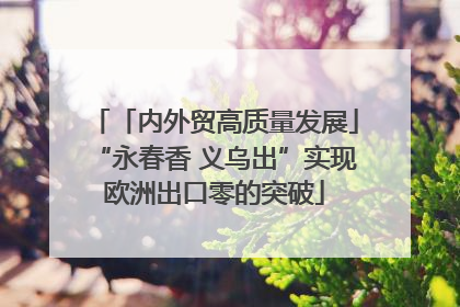 「内外贸高质量发展」“永春香 义乌出”实现欧洲出口零的突破