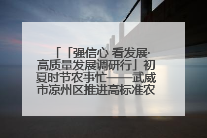 「强信心 看发展·高质量发展调研行」初夏时节农事忙——武威市凉州区推进高标准农田建设见闻