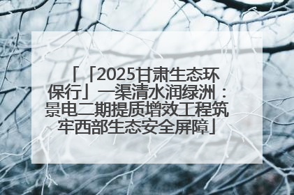 「2025甘肃生态环保行」一渠清水润绿洲：景电二期提质增效工程筑牢西部生态安全屏障