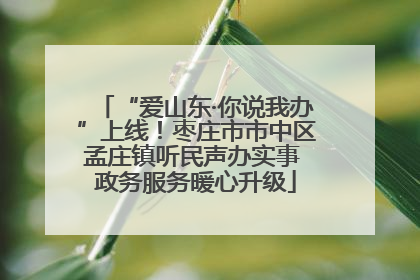 “爱山东·你说我办”上线！枣庄市市中区孟庄镇听民声办实事 政务服务暖心升级