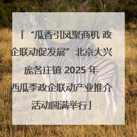 “瓜香引凤聚商机 政企联动促发展”北京大兴庞各庄镇 2025 年西瓜季政企联动产业推介活动圆满举行