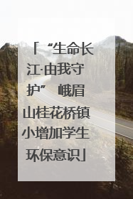 “生命长江·由我守护” 峨眉山桂花桥镇小增加学生环保意识