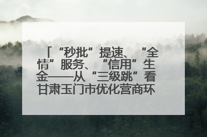 “秒批”提速、“全情”服务、“信用”生金——从“三级跳”看甘肃玉门市优化营商环境的进阶之路