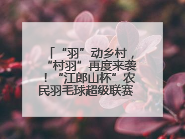 “羽”动乡村，“村羽”再度来袭！“江郎山杯”农民羽毛球超级联赛第二站圆满落幕