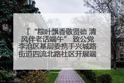 “粽叶飘香敬贤德 清风伴老话端午” 致公党李沧区基层委携手兴城路街道四流北路社区开展端午节主题活动