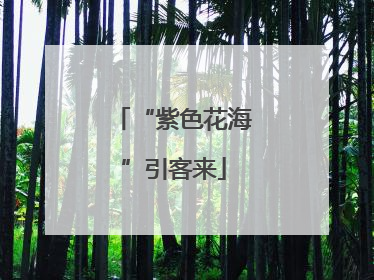 “紫色花海”引客来