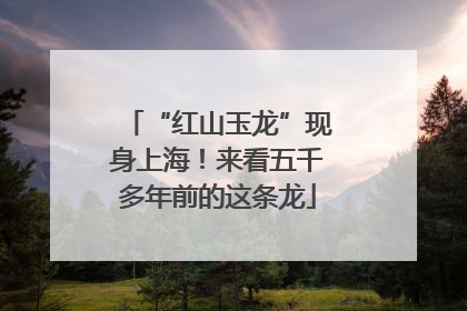 “红山玉龙”现身上海！来看五千多年前的这条龙