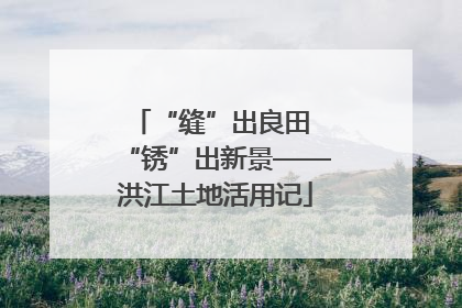 “缝”出良田 “锈”出新景——洪江土地活用记
