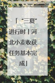 “三夏”进行时丨河北小麦收获任务基本完成