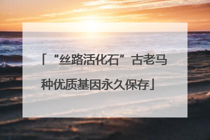 “丝路活化石”古老马种优质基因永久保存