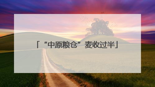 “中原粮仓”麦收过半