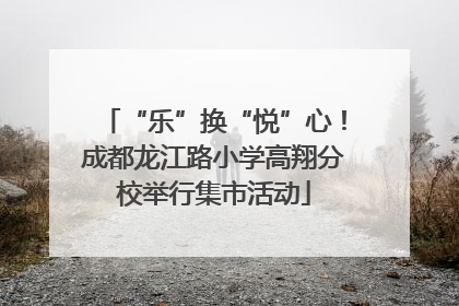 “乐”换“悦”心！成都龙江路小学高翔分校举行集市活动