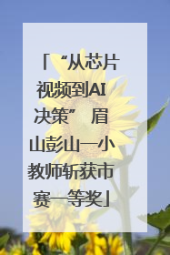“从芯片视频到AI决策” 眉山彭山一小教师斩获市赛一等奖