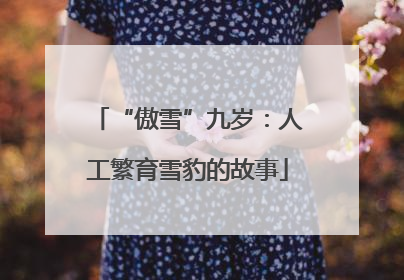 “傲雪”九岁：人工繁育雪豹的故事