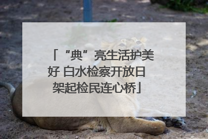 “典”亮生活护美好 白水检察开放日架起检民连心桥