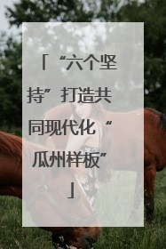“六个坚持”打造共同现代化“瓜州样板”