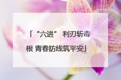 “六进” 利刃斩毒根 青春防线筑平安