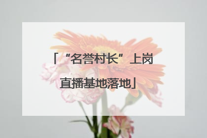 “名誉村长”上岗 直播基地落地
