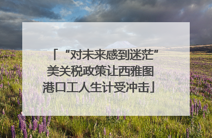 “对未来感到迷茫” 美关税政策让西雅图港口工人生计受冲击