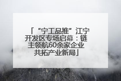 “宁工品推”江宁开发区专场启幕：链主领航60余家企业共拓产业新局
