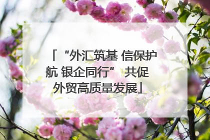 “外汇筑基 信保护航 银企同行” 共促外贸高质量发展