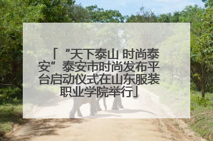 “天下泰山 时尚泰安”泰安市时尚发布平台启动仪式在山东服装职业学院举行
