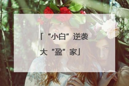 “小白”逆袭大“盈”家