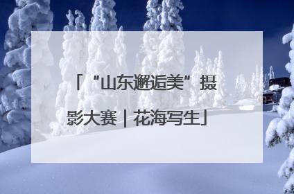 “山东邂逅美”摄影大赛｜花海写生