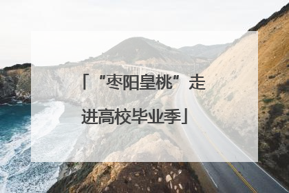 “枣阳皇桃”走进高校毕业季