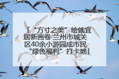 “方寸之美”绘就宜居新画卷 兰州市城关区40余小游园成市民“绿色福利”打卡地