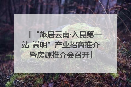 “旅居云南·入昆第一站-嵩明”产业招商推介暨房源推介会召开