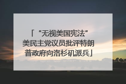 “无视美国宪法” 美民主党议员批评特朗普政府向洛杉矶派兵