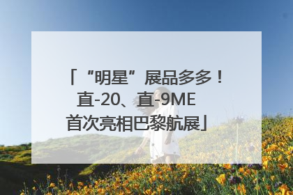“明星”展品多多！直-20、直-9ME首次亮相巴黎航展