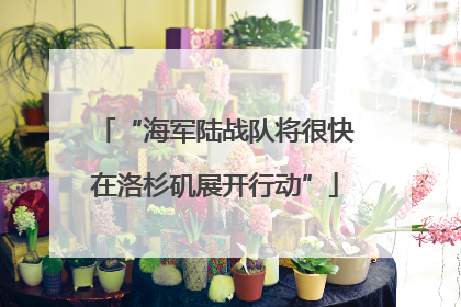 “海军陆战队将很快在洛杉矶展开行动”
