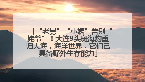 “老舅”“小姨”告别“姥爷”！大连9头斑海豹重归大海，海洋世界：它们已具备野外生存能力