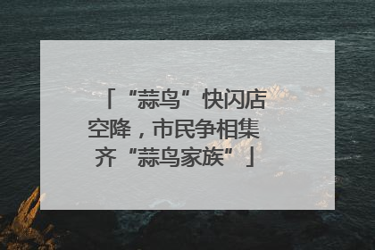 “蒜鸟”快闪店空降，市民争相集齐“蒜鸟家族”