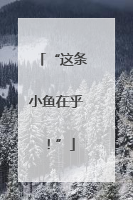 “这条小鱼在乎！”