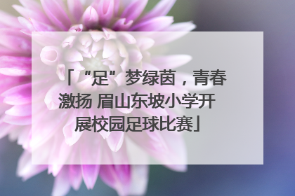 “足”梦绿茵，青春激扬 眉山东坡小学开展校园足球比赛