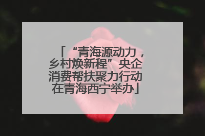 “青海源动力，乡村焕新程”央企消费帮扶聚力行动在青海西宁举办