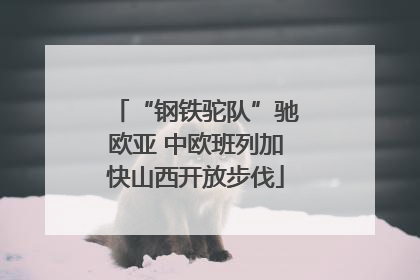 “钢铁驼队”驰欧亚 中欧班列加快山西开放步伐