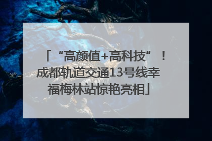 “高颜值+高科技”！成都轨道交通13号线幸福梅林站惊艳亮相