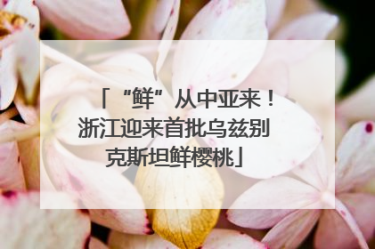 “鲜”从中亚来！浙江迎来首批乌兹别克斯坦鲜樱桃