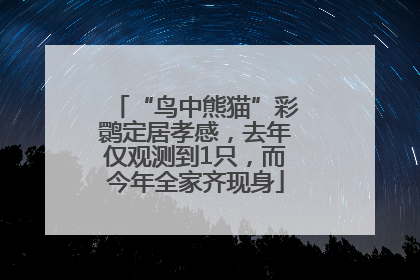 “鸟中熊猫”彩鹮定居孝感，去年仅观测到1只，而今年全家齐现身