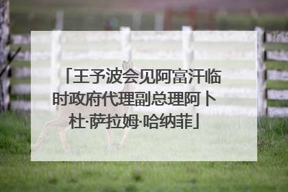 王予波会见阿富汗临时政府代理副总理阿卜杜·萨拉姆·哈纳菲