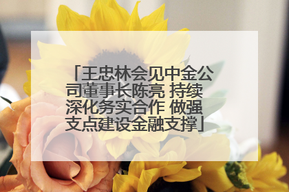 王忠林会见中金公司董事长陈亮 持续深化务实合作 做强支点建设金融支撑