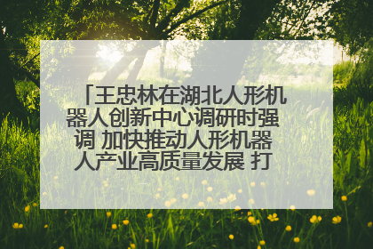 王忠林在湖北人形机器人创新中心调研时强调 加快推动人形机器人产业高质量发展 打造具有全国影响力的研发创新基地