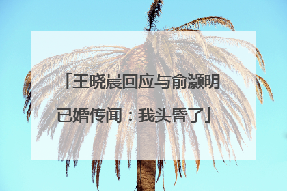 王晓晨回应与俞灏明已婚传闻：我头昏了