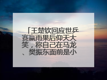 王楚钦回应世乒赛赢雨果后仰天大笑，称自己在马龙、樊振东面前是小孩，巴黎奥运被孙颖莎带着打